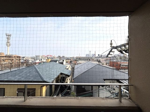 Grandi Rokko Park（グランディ六甲パーク）の展望