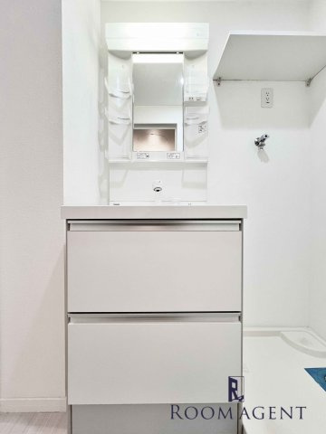 ドエル神野の洗面所