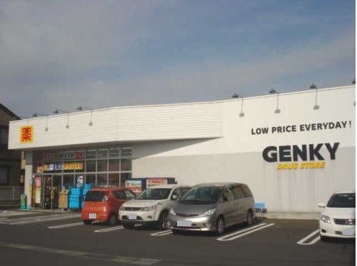 シェーン　プラッツ　Ｂの周辺|ゲンキー 和田東店まで120m
