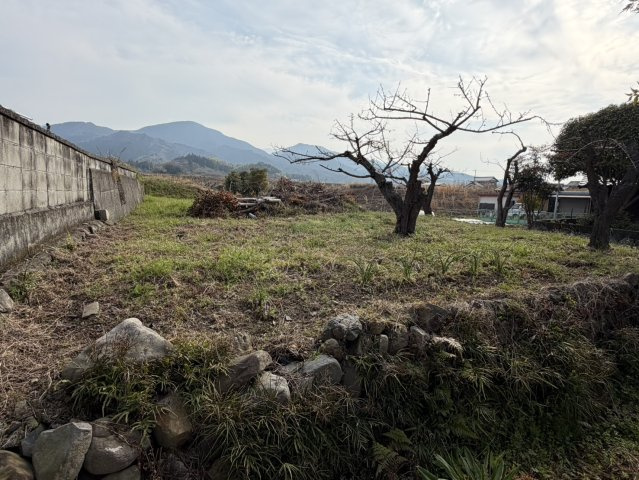 西条市氷見丙1027-1　1027-2　土地の外観