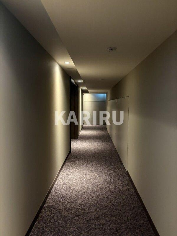 グラングリーン大阪　ＴＨＥ　ＮＯＲＴＨ　ＲＥＳＩＤＥＮＣＥのその他共用部分