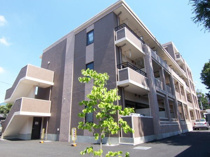 ヴァン　ヴェールの画像