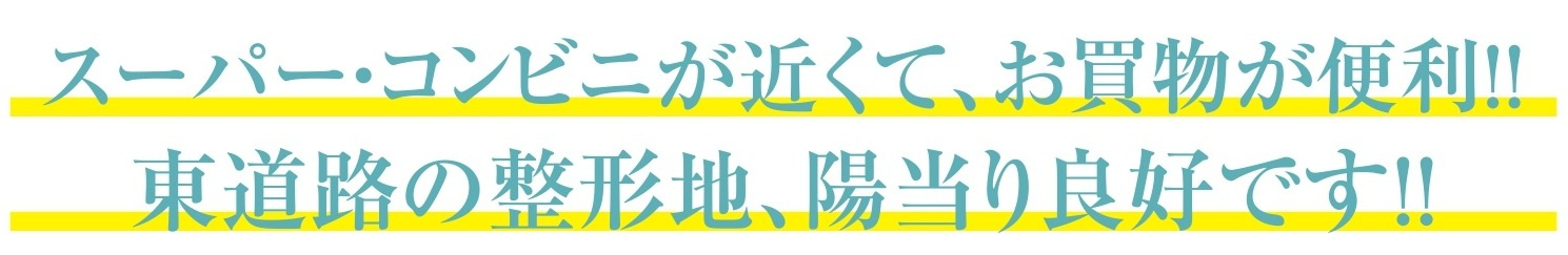 【仲介手数料無料】新築戸建　熊谷市柿沼780-4（全1棟）の構造・工法・仕様