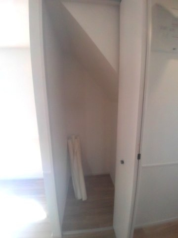 コリーヌのその他