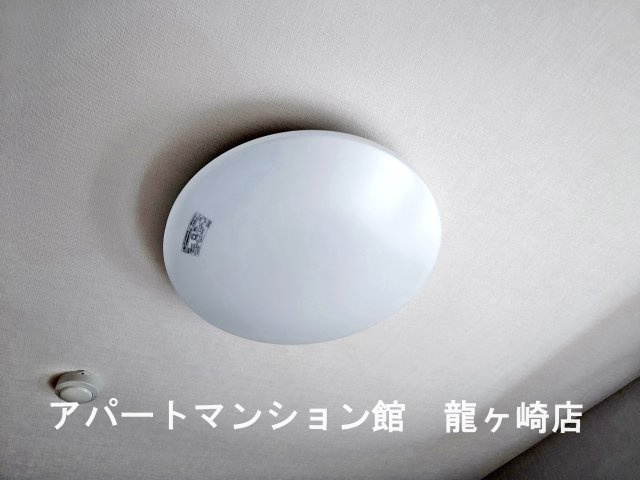 ココ・ハウスのその他