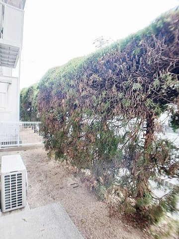 セピアハイツアラキＡの庭