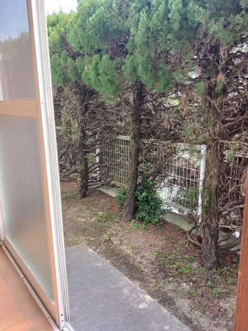 プライム駅東Ａの庭