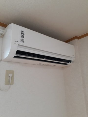ペルラのその他