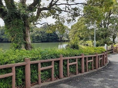 アレグリアの周辺|高良内第一公園まで850m