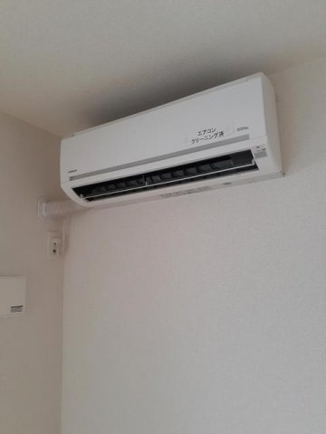 マーベラスたぶのきのその他