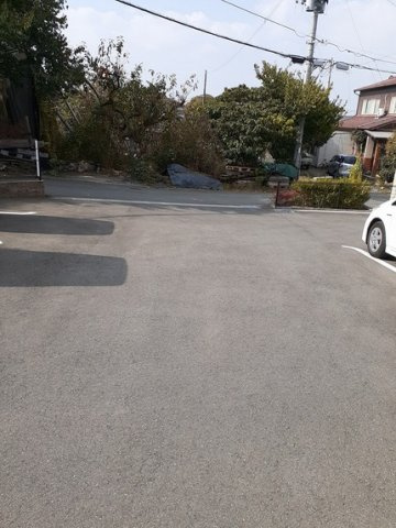 スマイル　リョウのその他