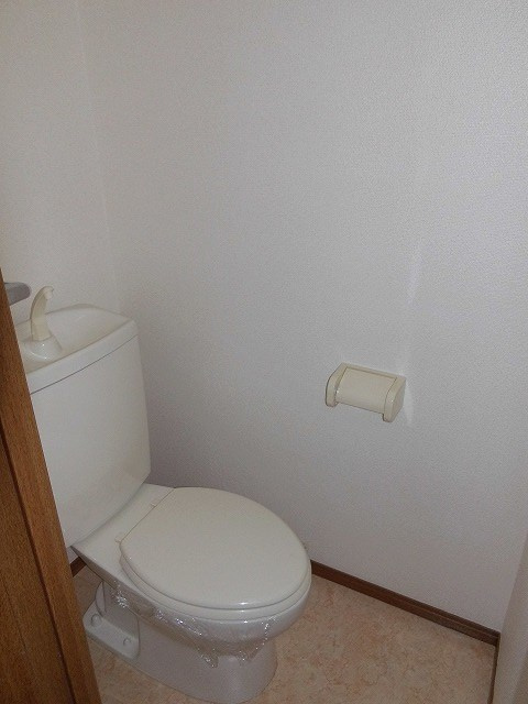 ビタミンテラス枝吉のトイレ