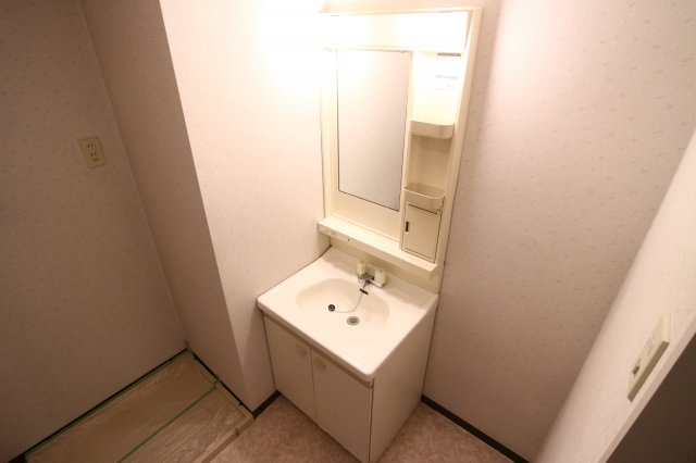 グランドメゾン池上の洗面所