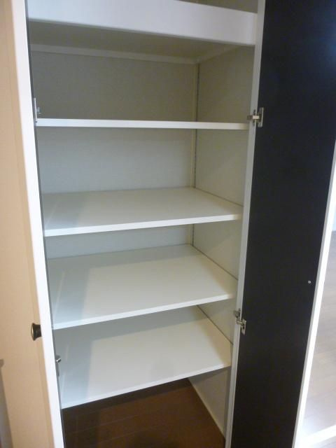 シャーンティ・エーカムの収納|便利な収納スペースです