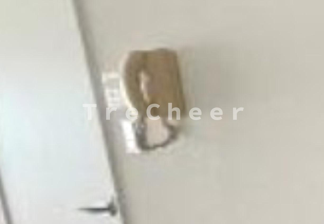 キャッスルマンション大山のセキュリティ