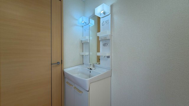 メゾンカワグチBの洗面所