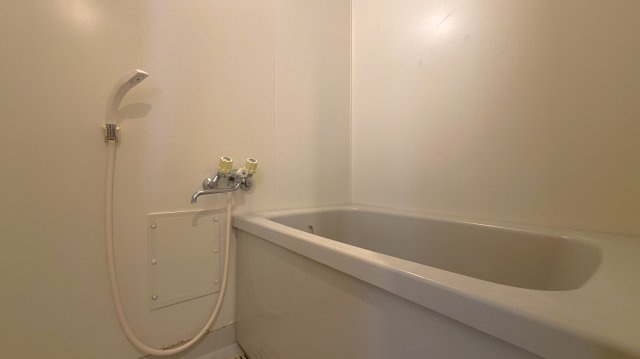 メゾンカワグチBの浴室