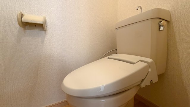 メゾンカワグチBのトイレ