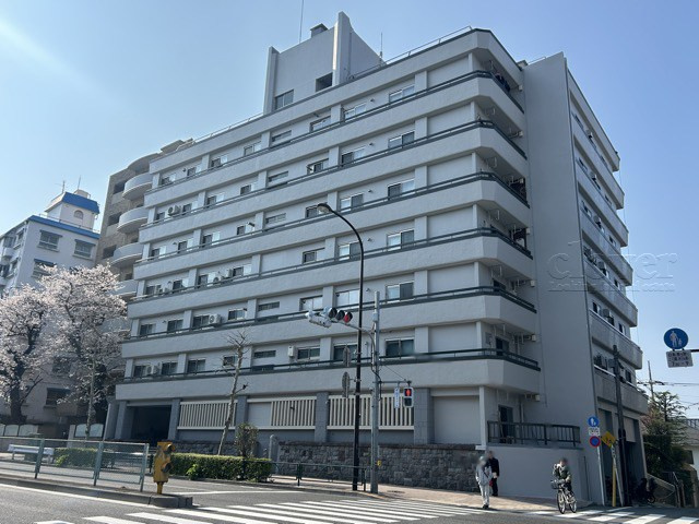 【外観】 | パシフィック豊玉マンション | 手入れの行き届いた外壁やエントランスなど、「見ればわかる」レベルで清潔感を保ったマンションです。築年数を感じさせない姿で皆様をお出迎えします。～即日のご見学可能～　お問合せはお気軽にどうぞ。