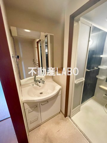 ジョイ・コート家七D棟の洗面所