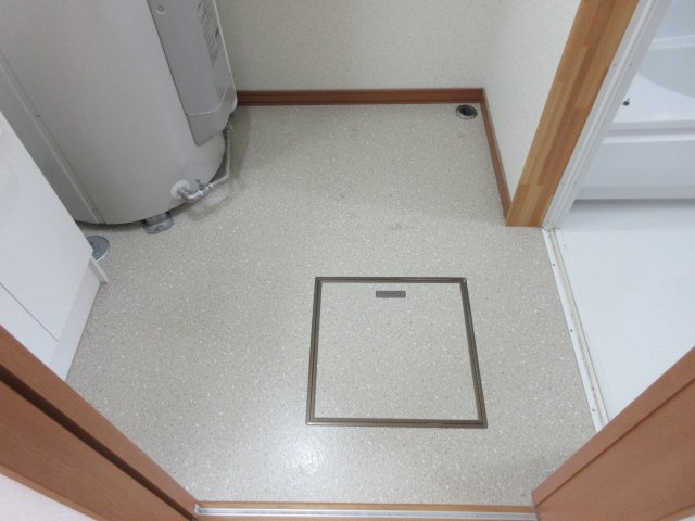 プラシードⅤの洗面所