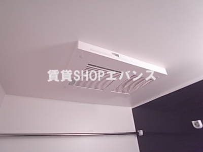  | アルメールツダヌマ