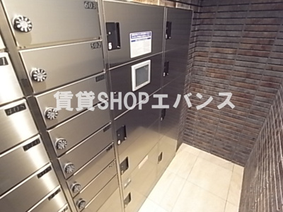  | アルメールツダヌマ