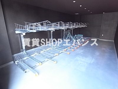  | アルメールツダヌマ