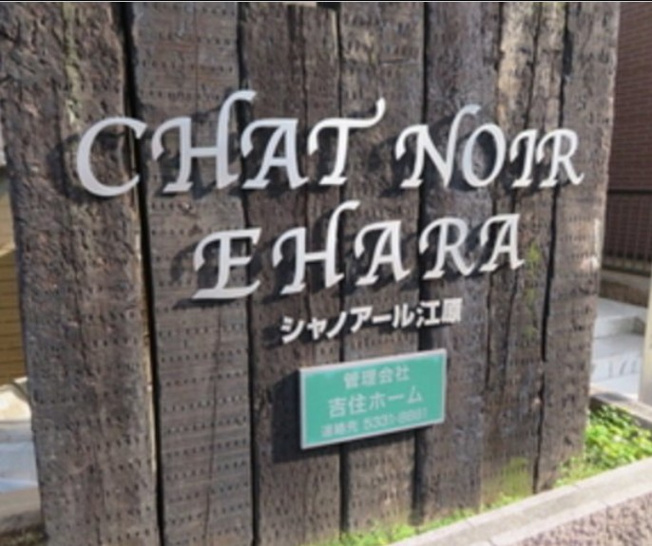 【その他】