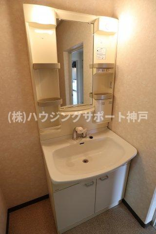 リバーグリーン藤村の洗面所
