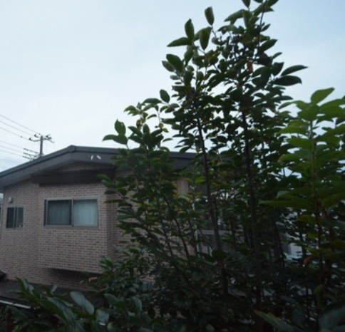 第１コーポ市瀬の展望