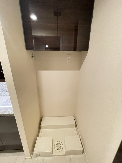 Brillia THE TOWER TOKYO YAESU AVENUEのランドリースペース