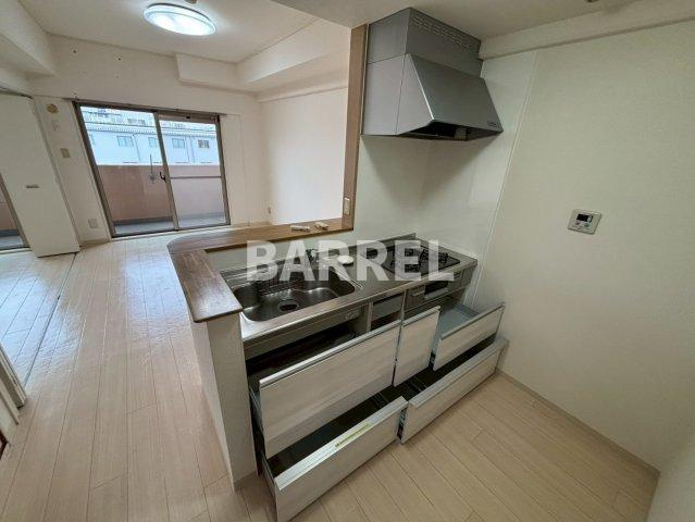 パークハイツアイリス5号館のキッチン