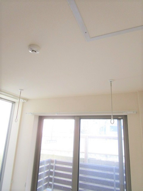 コート柿の木の展望