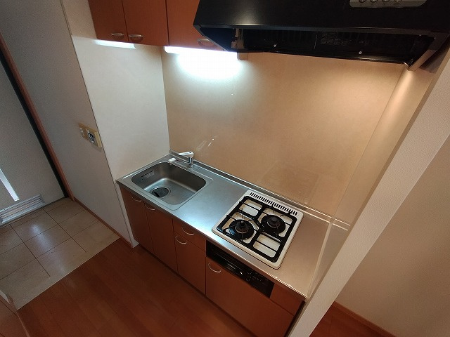神戸市兵庫区新開地４丁目の賃貸マンションのキッチン|システムキッチン（ガス２口）