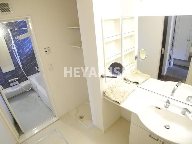 ヴェルジェ矢上の洗面所