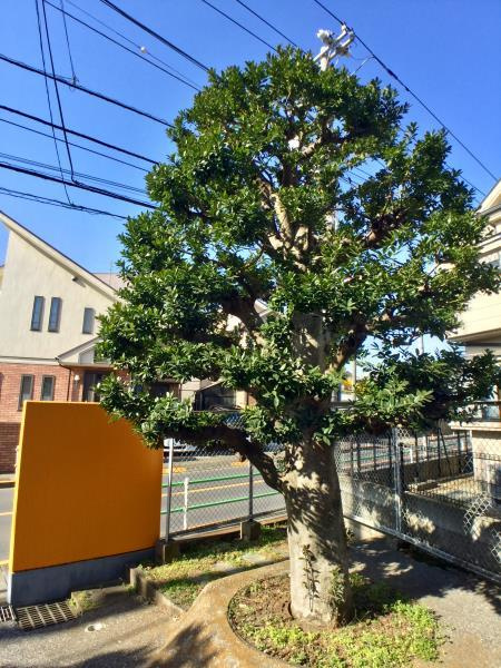 調布市国領町６丁目の賃貸マンションの展望