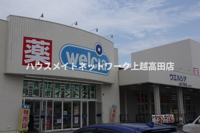 ファイン・グレースⅡの周辺|その他
