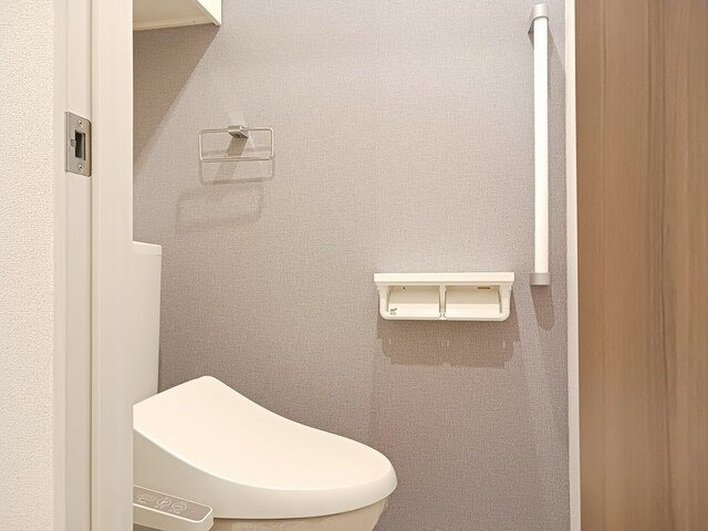 グラン・ダイナⅡのトイレ|落ち着いたトイレです