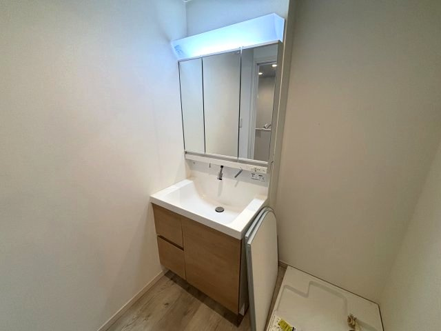 ｐｉｓｔａ赤坂通の独立洗面台