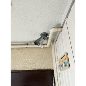 アイゾハイムのその他