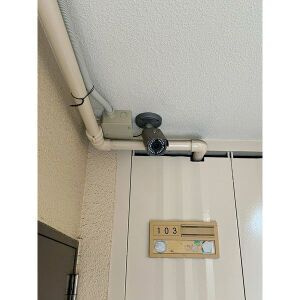 アイゾハイムのその他