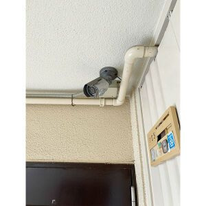 アイゾハイムのその他