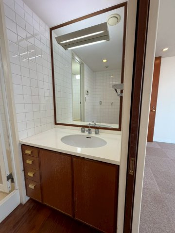エクセレント芦屋の洗面所