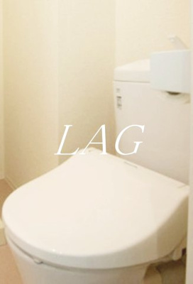 【トイレ】 | エスアールＹＡＺＡＩＫＥ | トイレです。