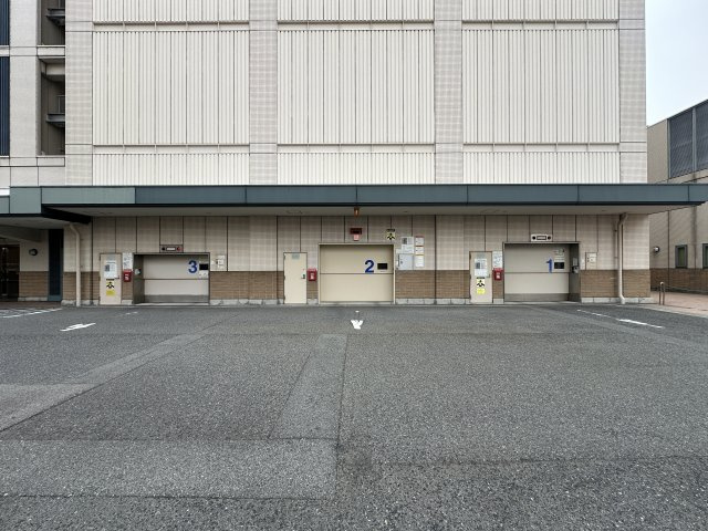 ティオ舞子のその他