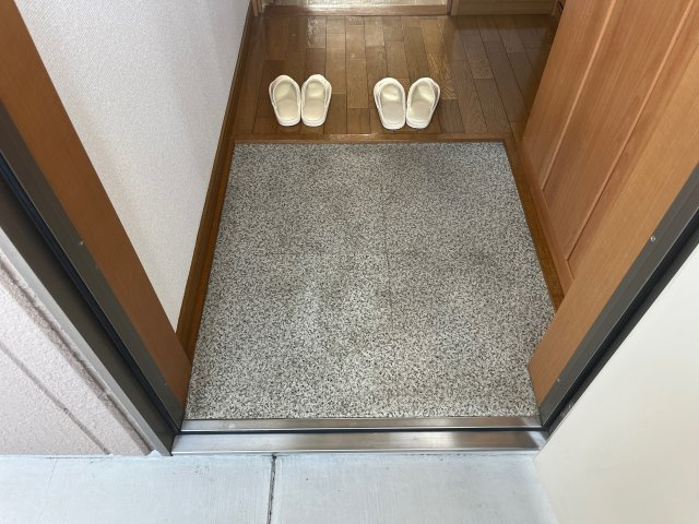 グリーンコート野里の玄関