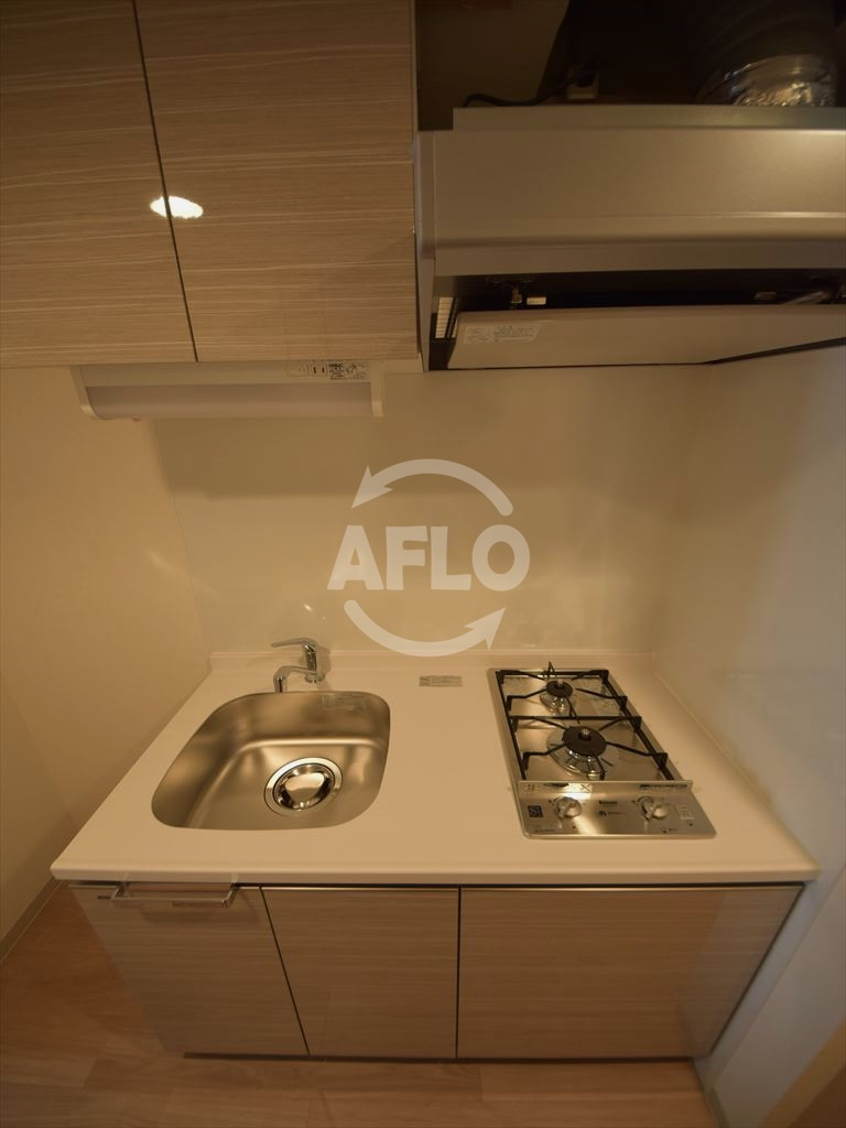 プレサンスOSAKA DOMECITY ワンダーのキッチン|プレサンスOSAKA DOMECITY ワンダー　2口ガスシステムキッチン