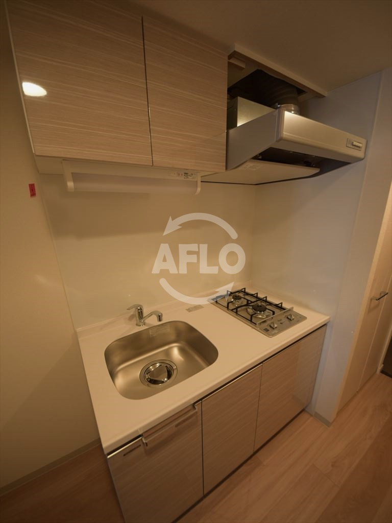 プレサンスOSAKA DOMECITY ワンダーのキッチン|プレサンスOSAKA DOMECITY ワンダー　2口ガスシステムキッチン