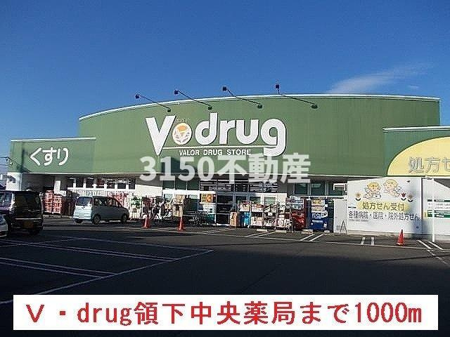 エクセランの周辺|Ｖ・drug領下中央薬局まで1000m